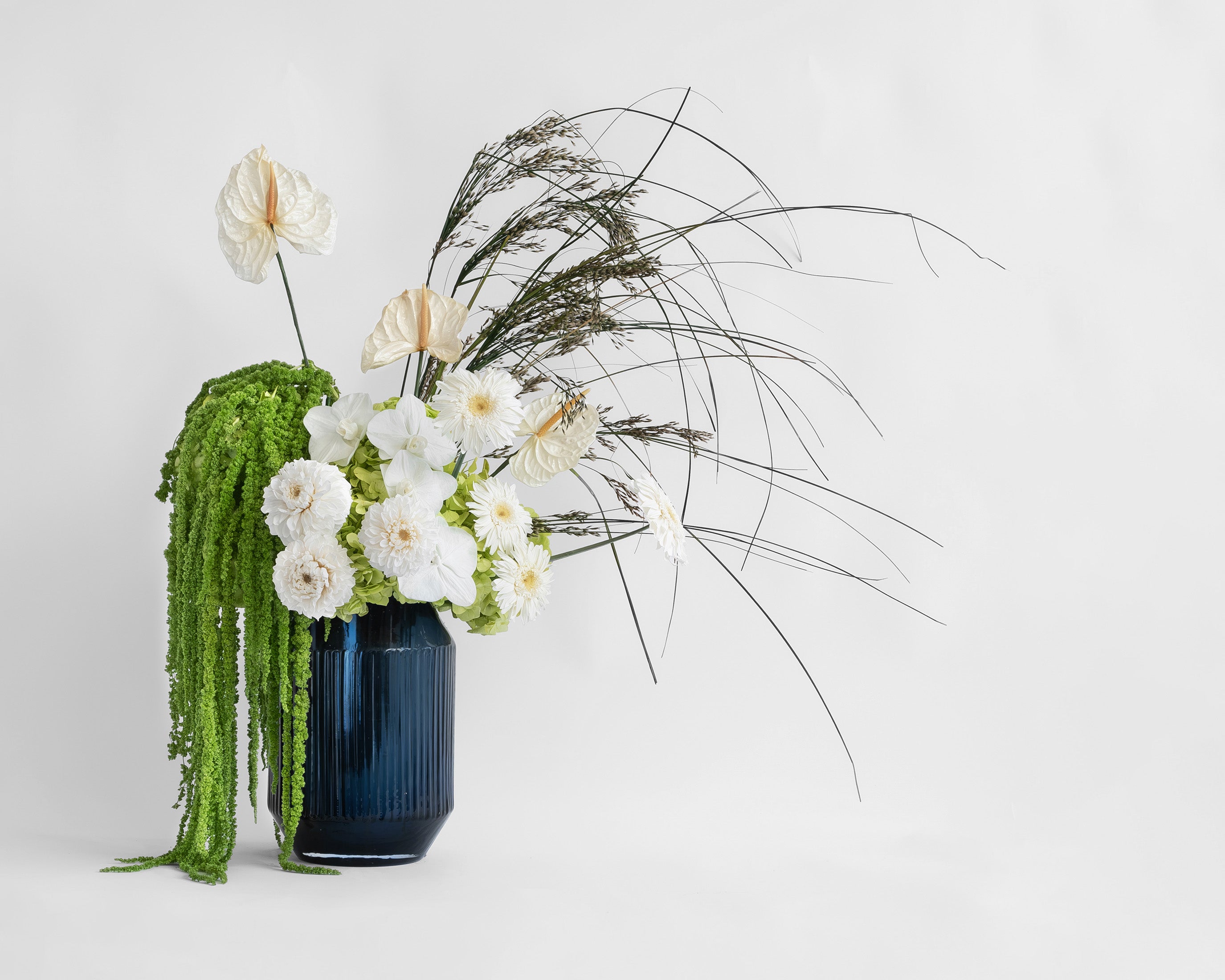 Preserved white and green tropical mixed flower arrangement