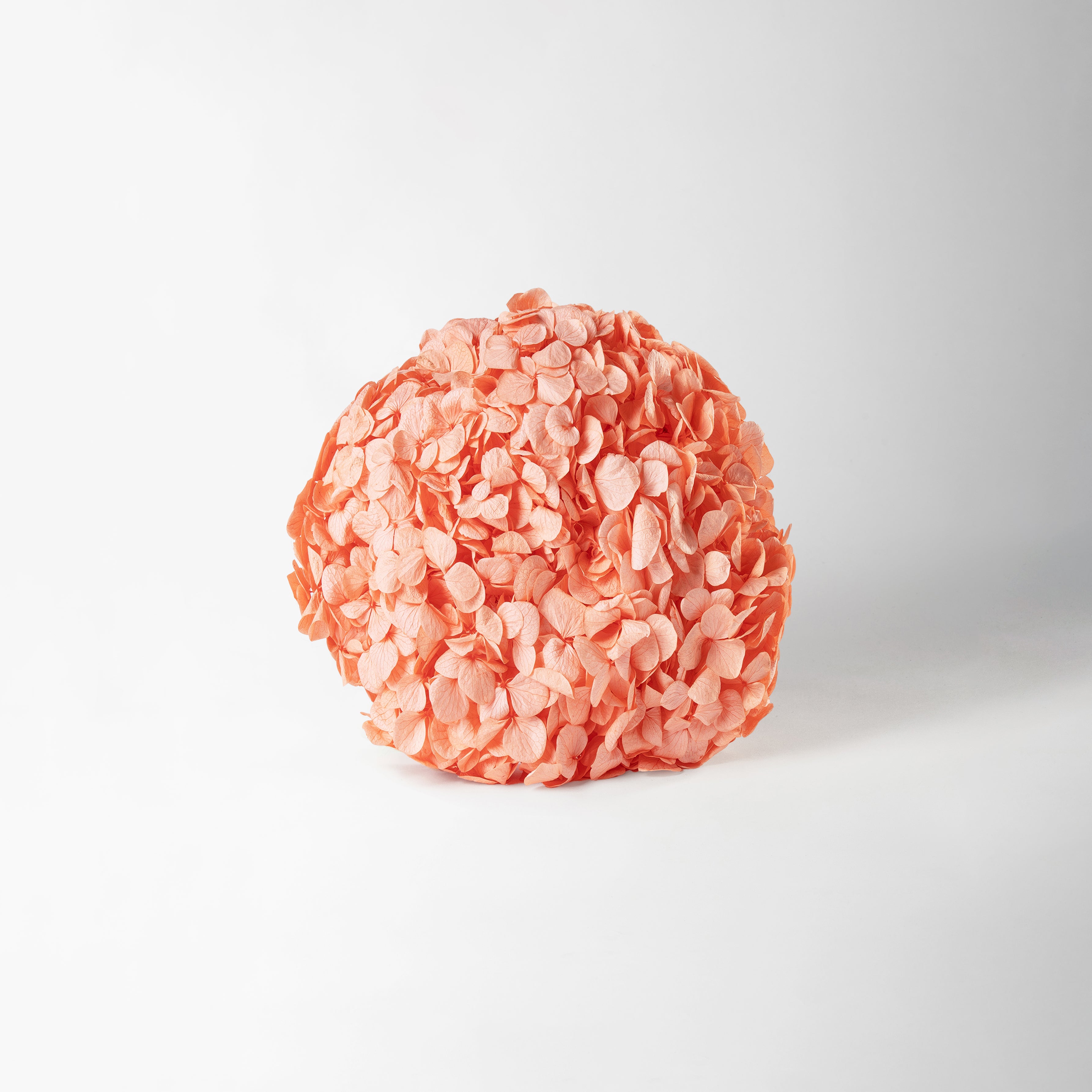 coral