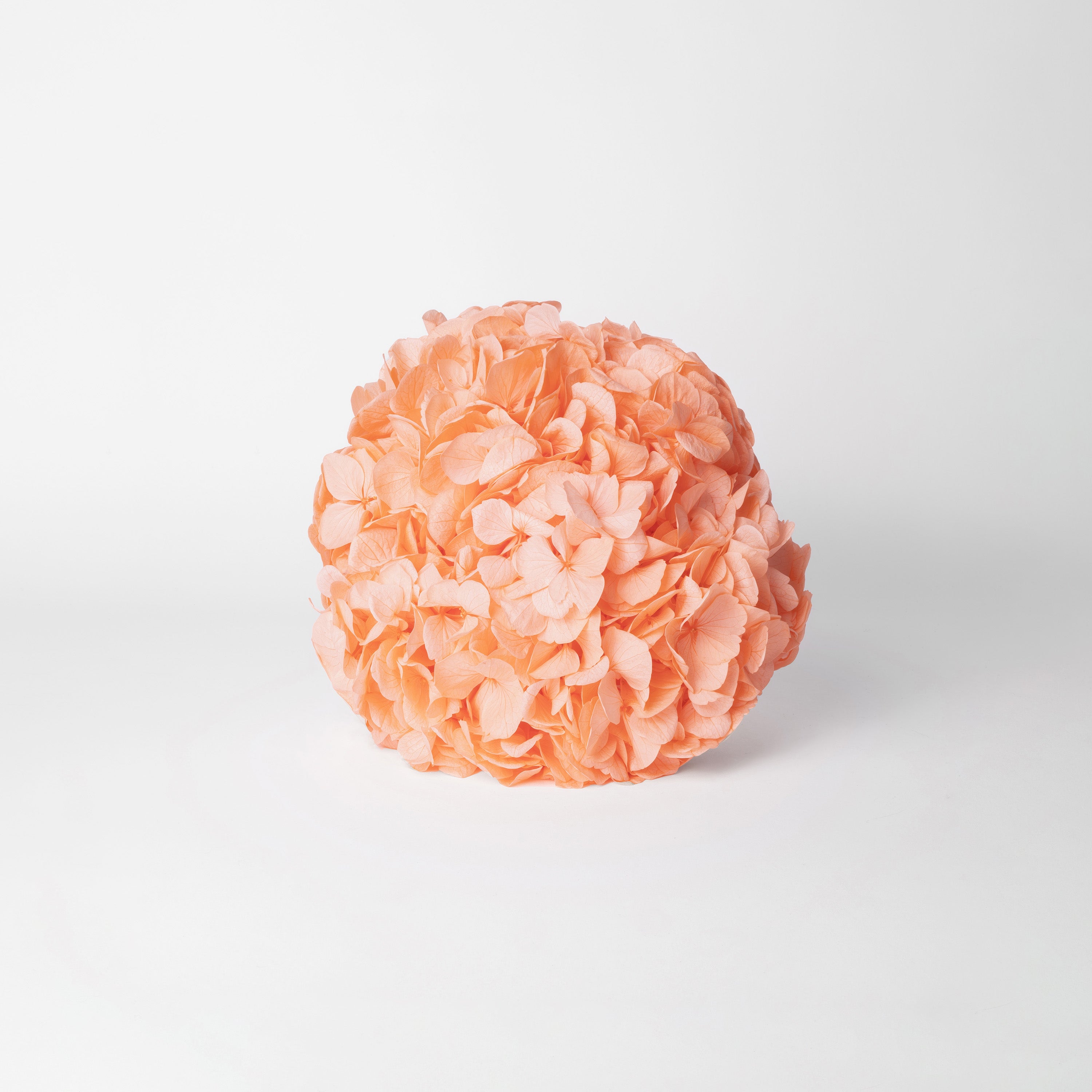 peach