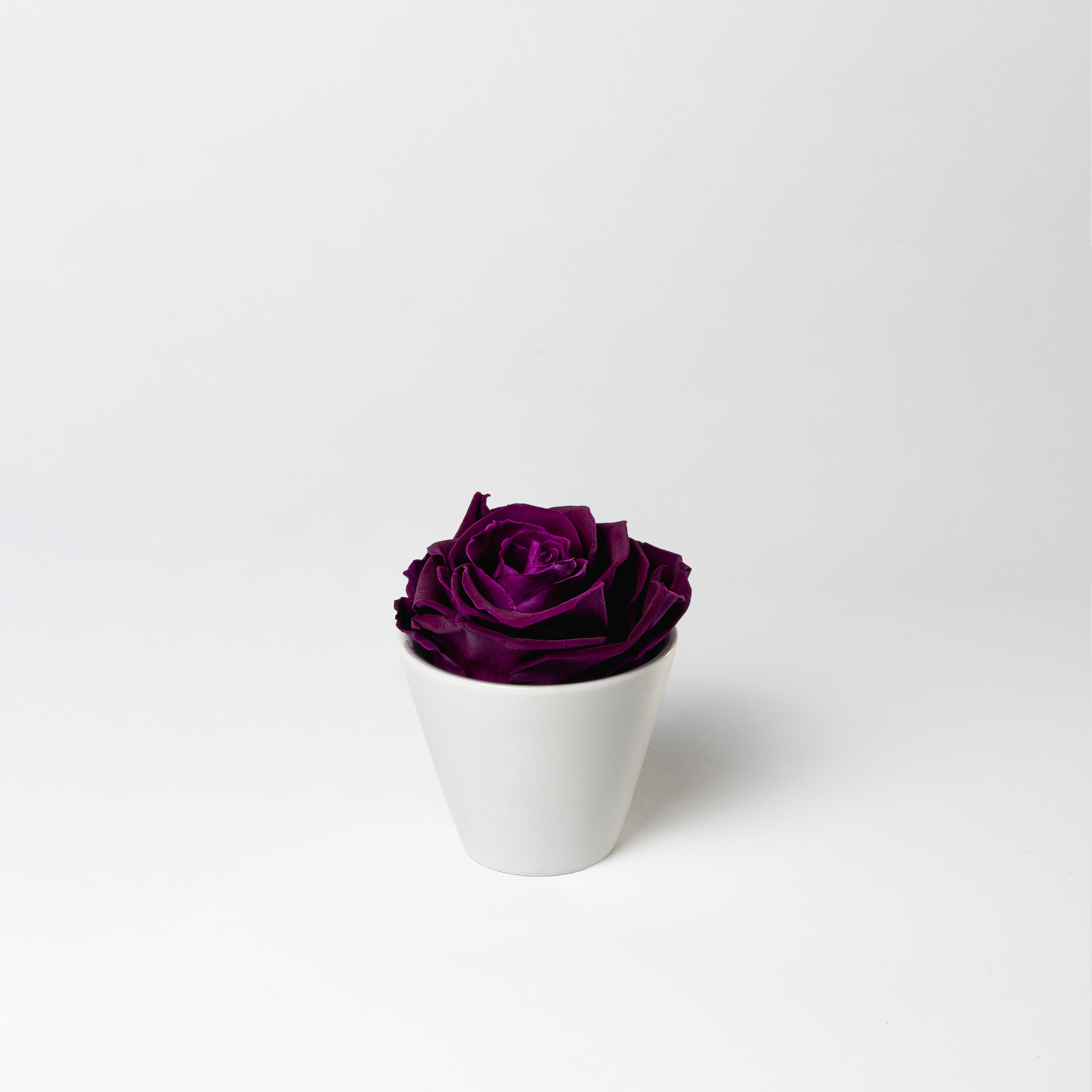 purple